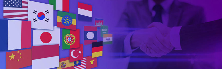 漳州小语种网站建设  第2张